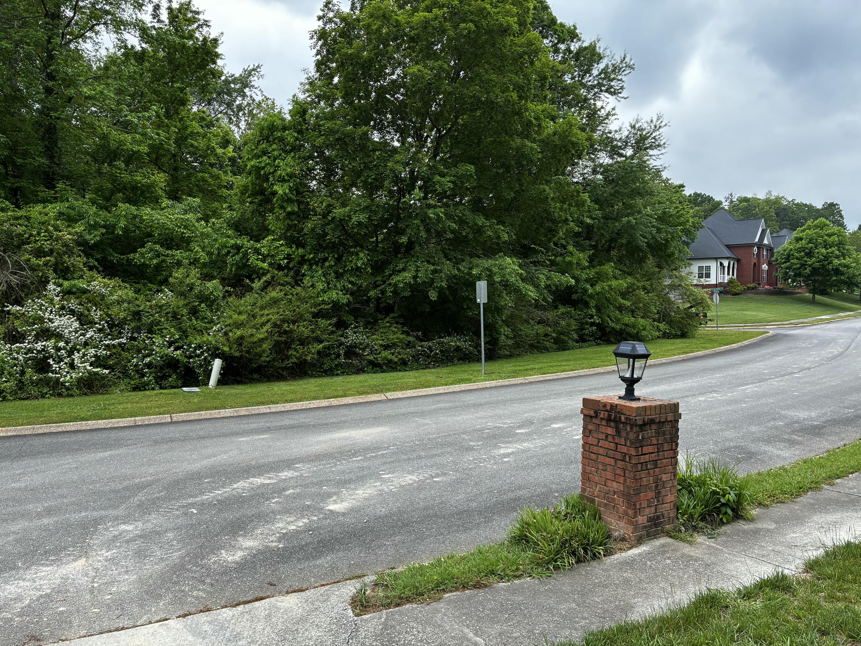 Dayflower Drive, Ooltewah, Tennessee image 5