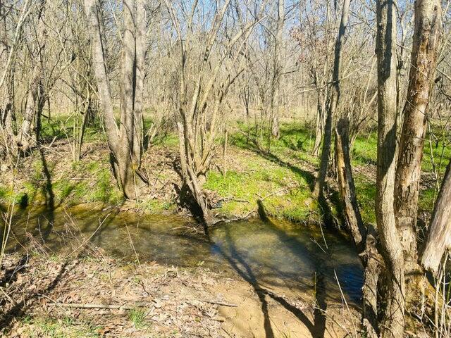 1867 Burnett Road, Whitwell, Tennessee image 3