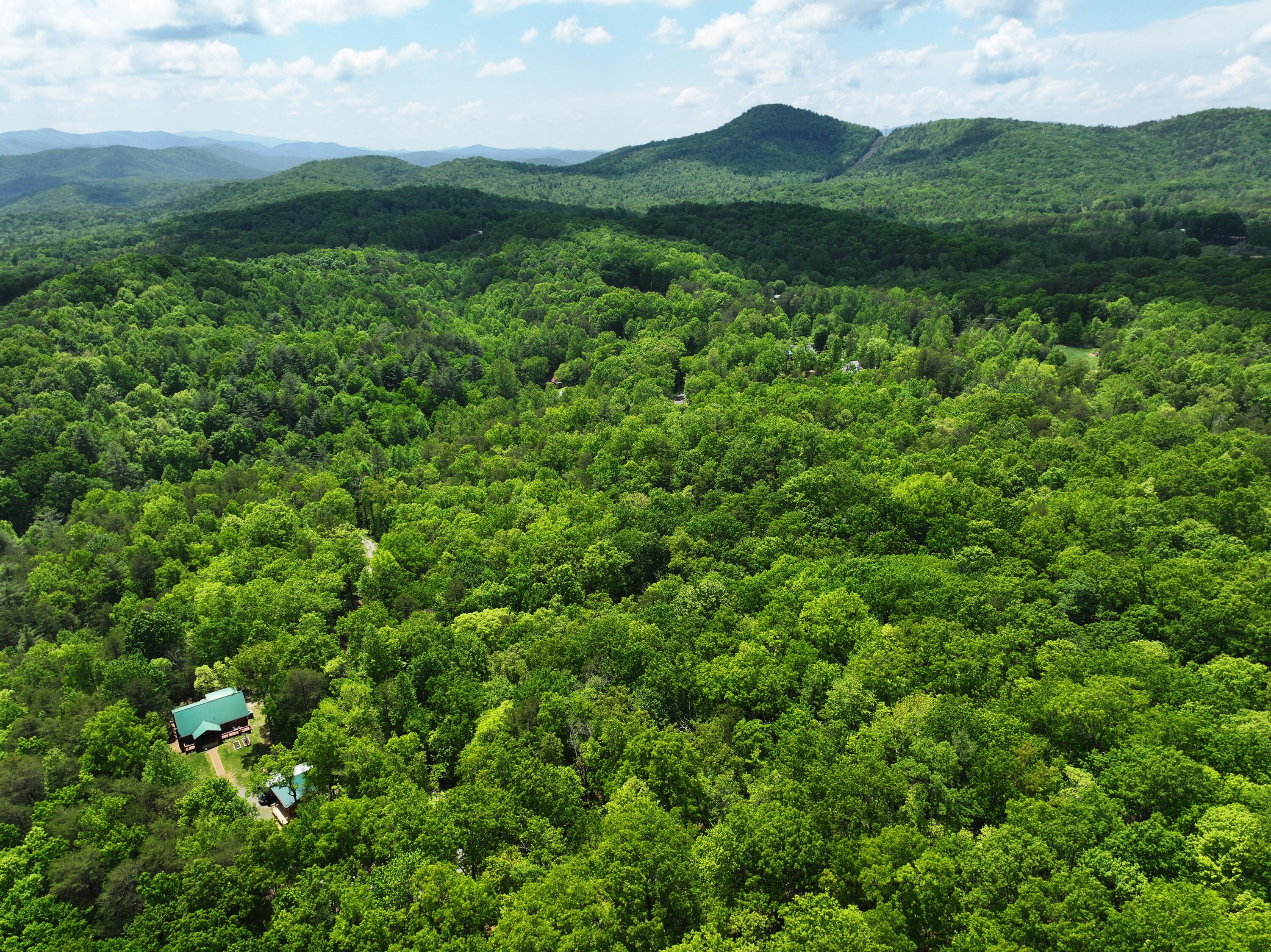 Ironsburg Road, Tellico Plains, Tennessee image 4