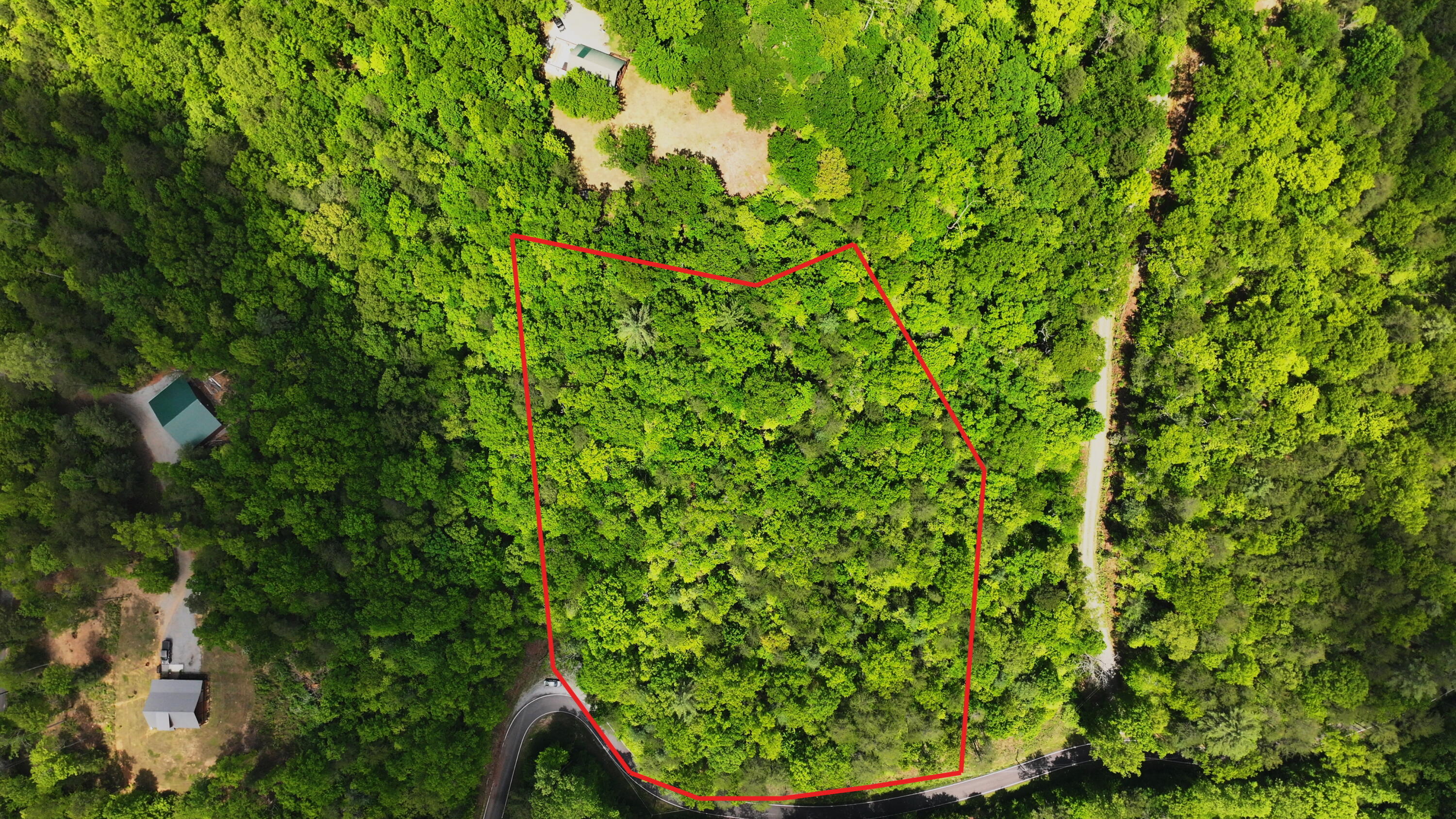 Ironsburg Road, Tellico Plains, Tennessee image 7