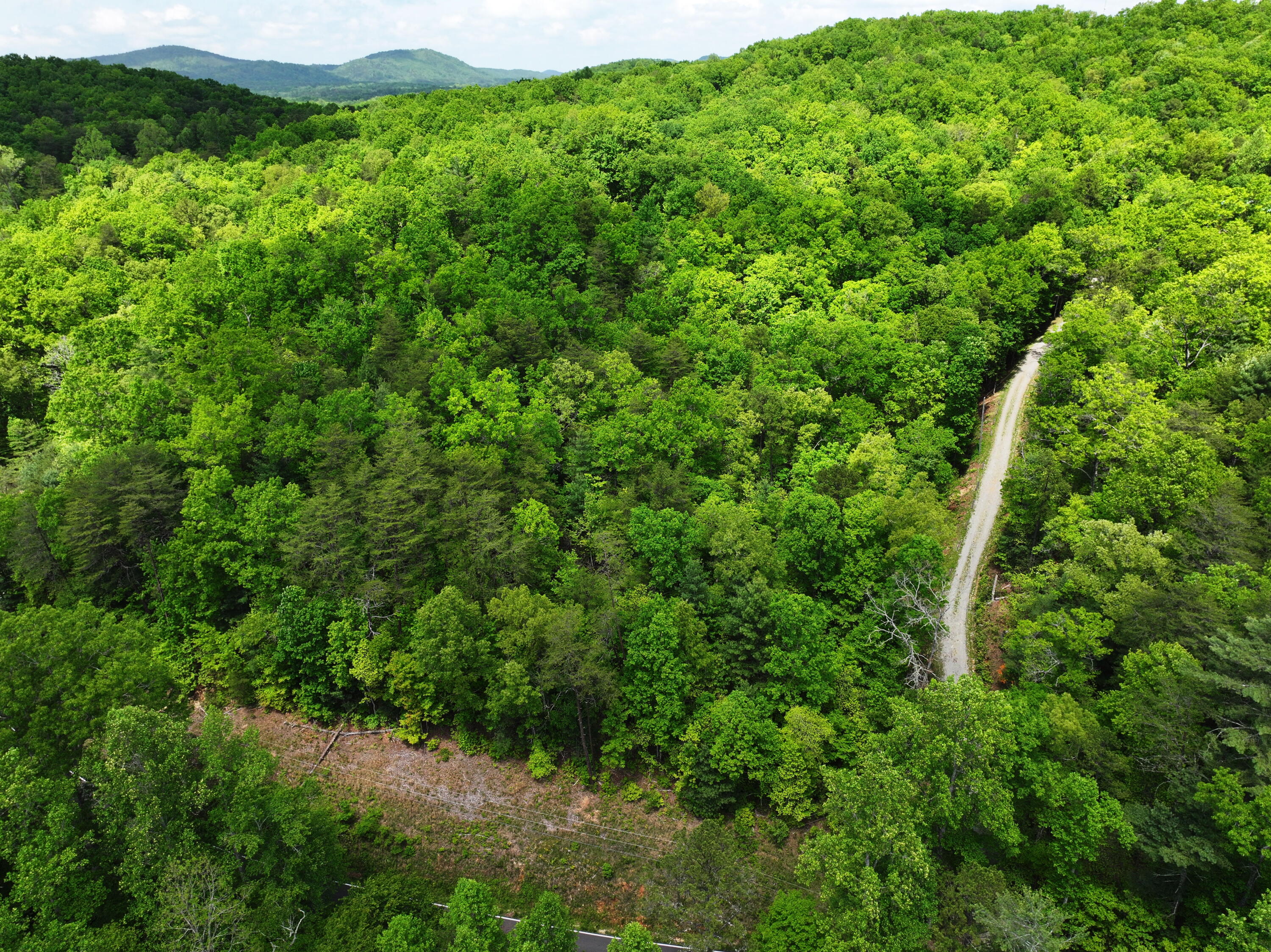 Ironsburg Road, Tellico Plains, Tennessee image 5