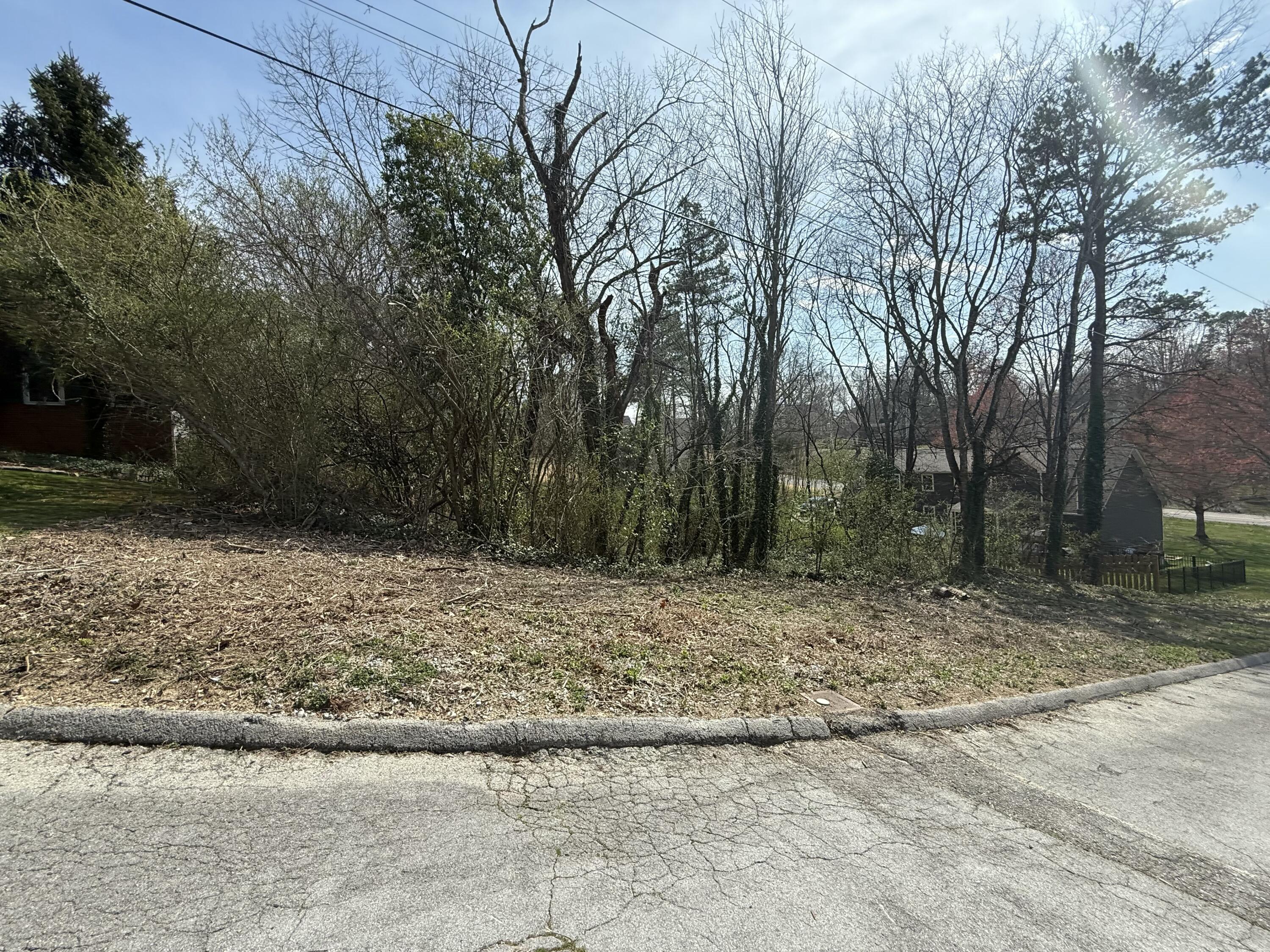 804 Amy Lane, Chattanooga, Tennessee image 4