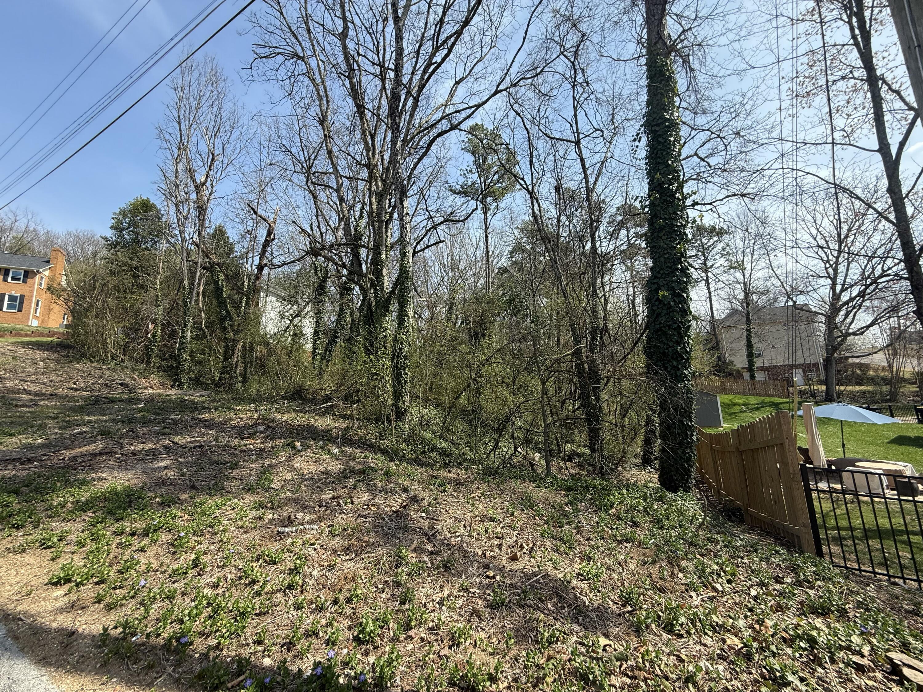 804 Amy Lane, Chattanooga, Tennessee image 2