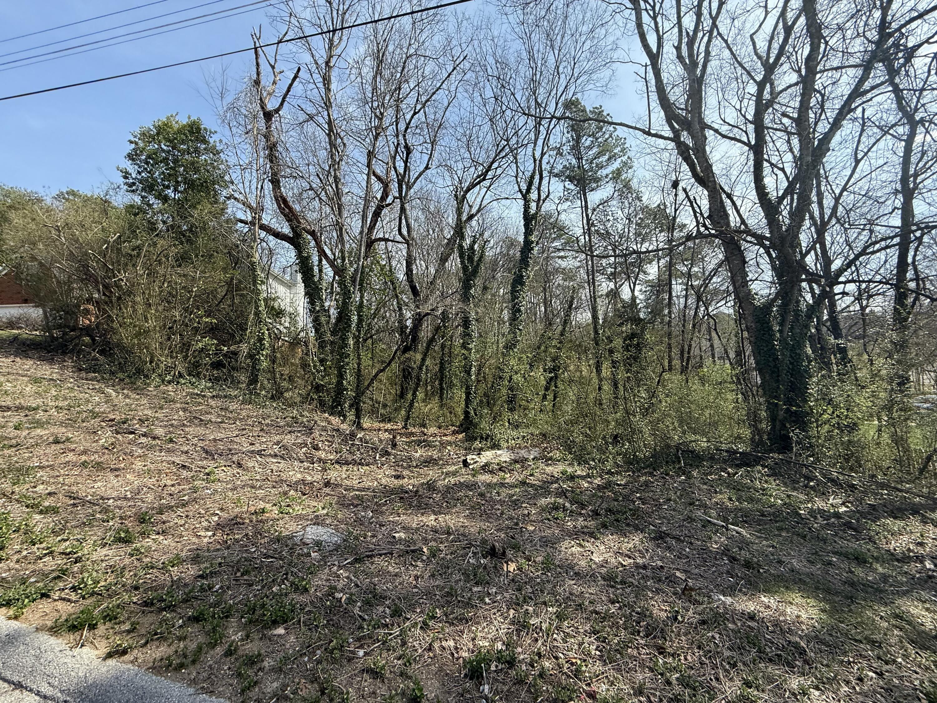 804 Amy Lane, Chattanooga, Tennessee image 3