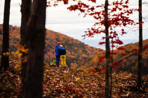 Vacant Land For Sale - Worley Road<br/> Soddy Daisy, TN 37379