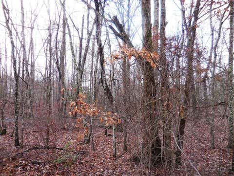 Vacant Land For Sale - 1143 Natchez Trce<br/> Crossville, TN 38572
