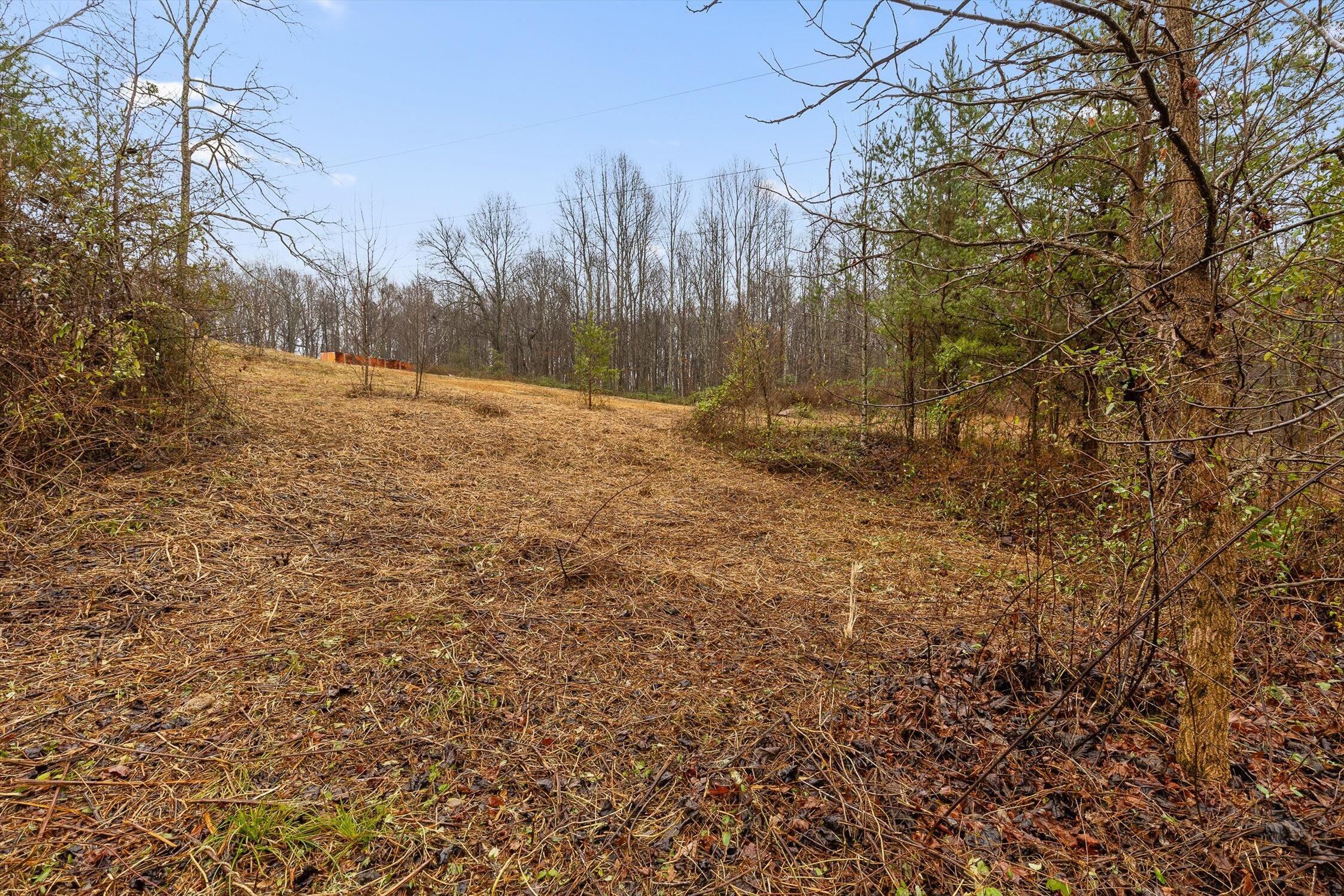 Gruetli Laager, Tennessee 37339, United States, 2 Bedrooms Bedrooms, ,1 BathroomBathrooms,Residential,Active,253964