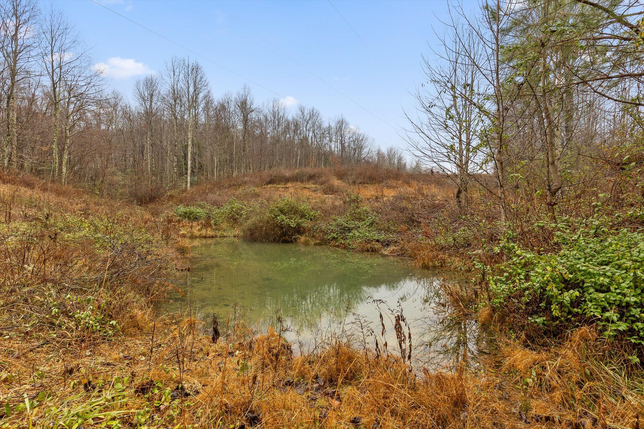 Gruetli Laager, Tennessee 37339, United States, 2 Bedrooms Bedrooms, ,1 BathroomBathrooms,Residential,Active,253964