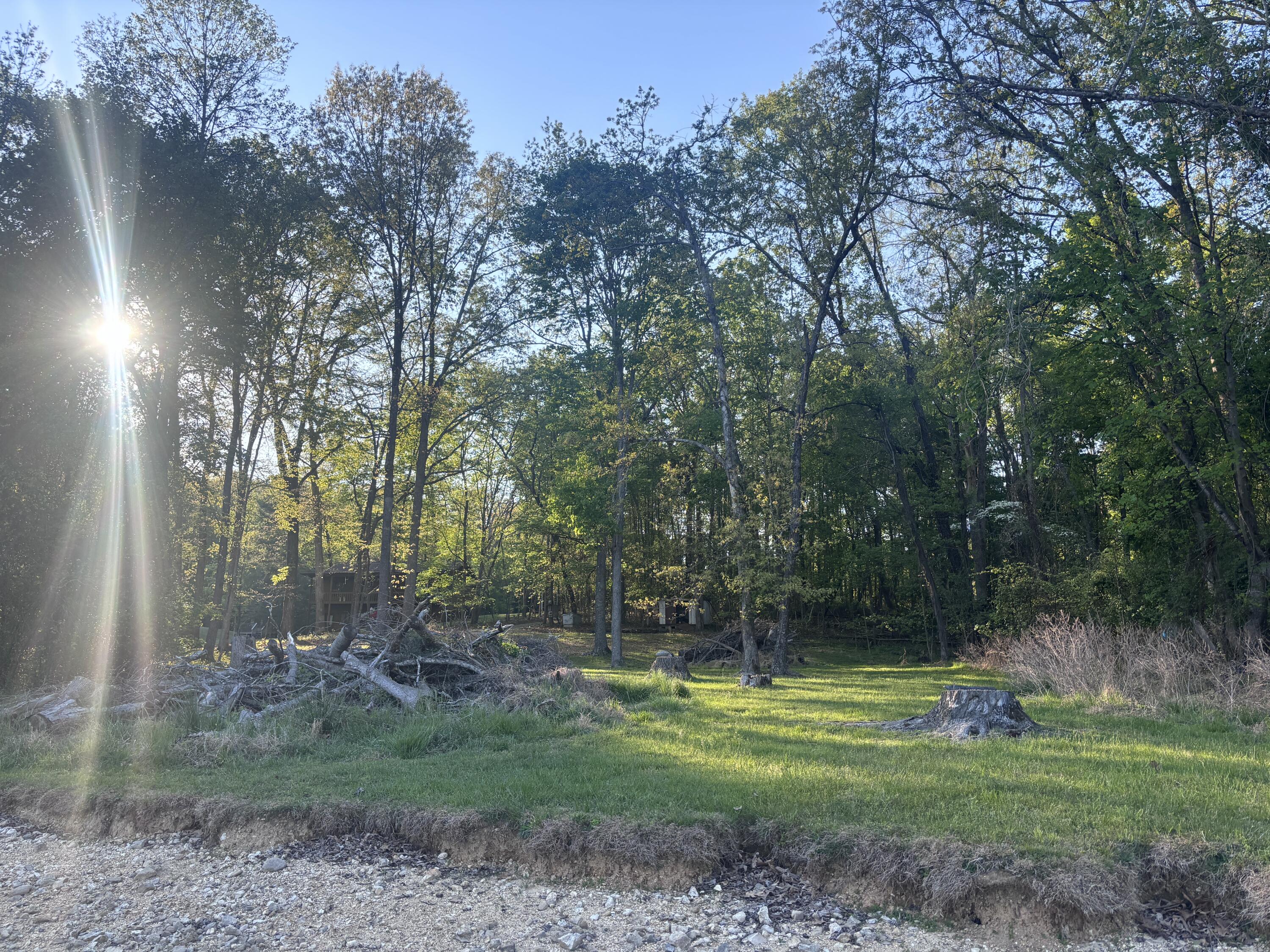 1240 Lake Forest Drive