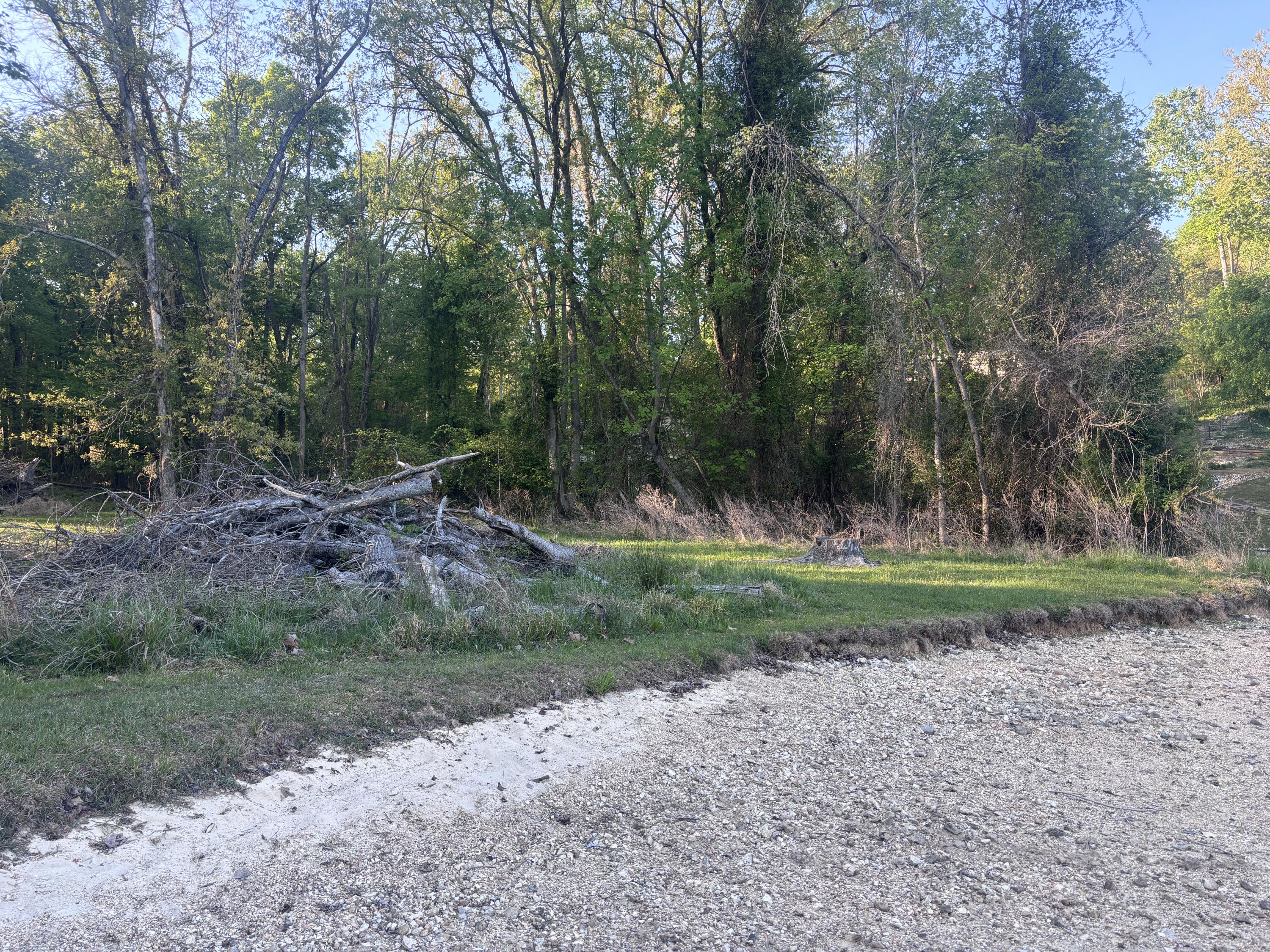 1240 Lake Forest Drive