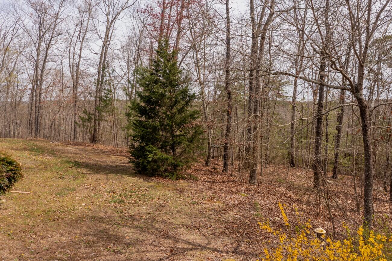 524 E Teems Road, Ringgold, Georgia image 40