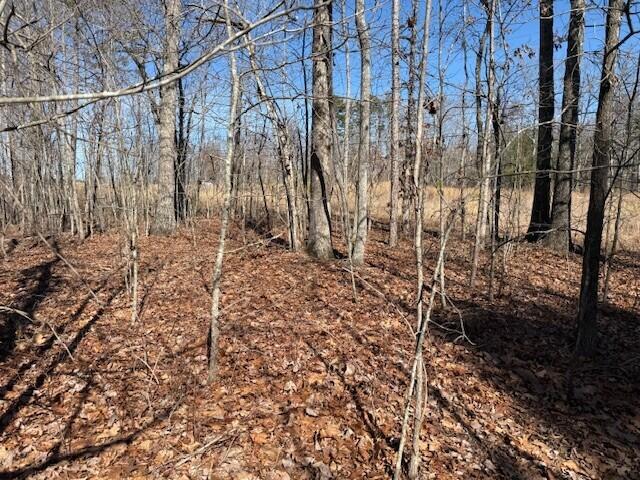 Tract 3 South Pittsburg Mountain Tract 3