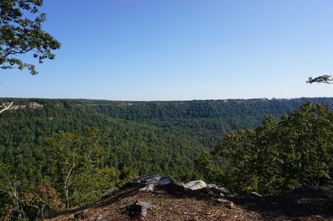 Photo of 0 Crockett Point #Jf147, Jasper, TN 37347 (MLS # 1505519)