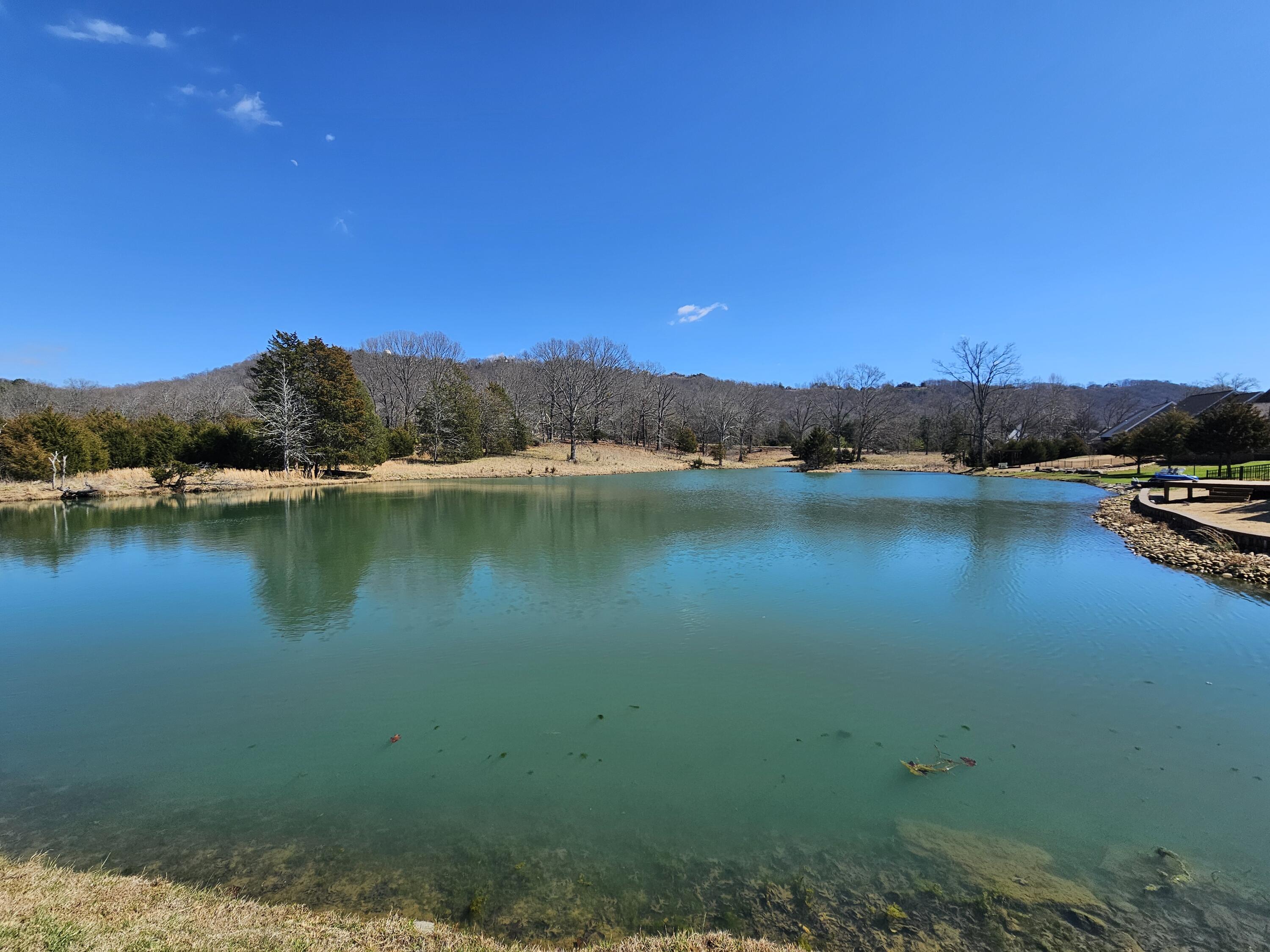 8858 Silver Maple Drive, Ooltewah, Tennessee image 43