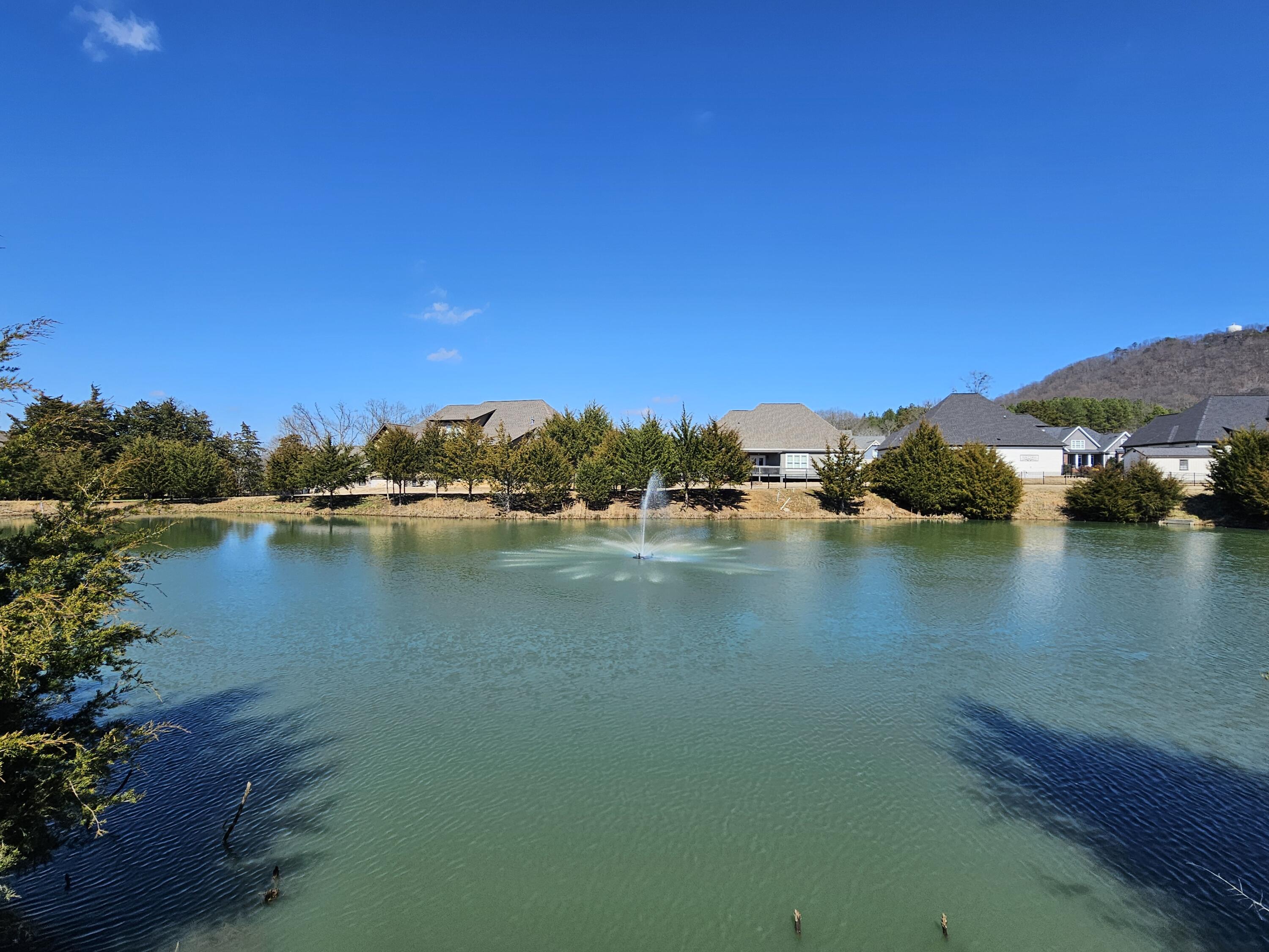 8858 Silver Maple Drive, Ooltewah, Tennessee image 49