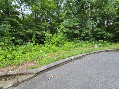 Vacant Land For Sale - LOT 142 Lower Brow Road<br/> Bledsoe County, Dunlap, TN 37327