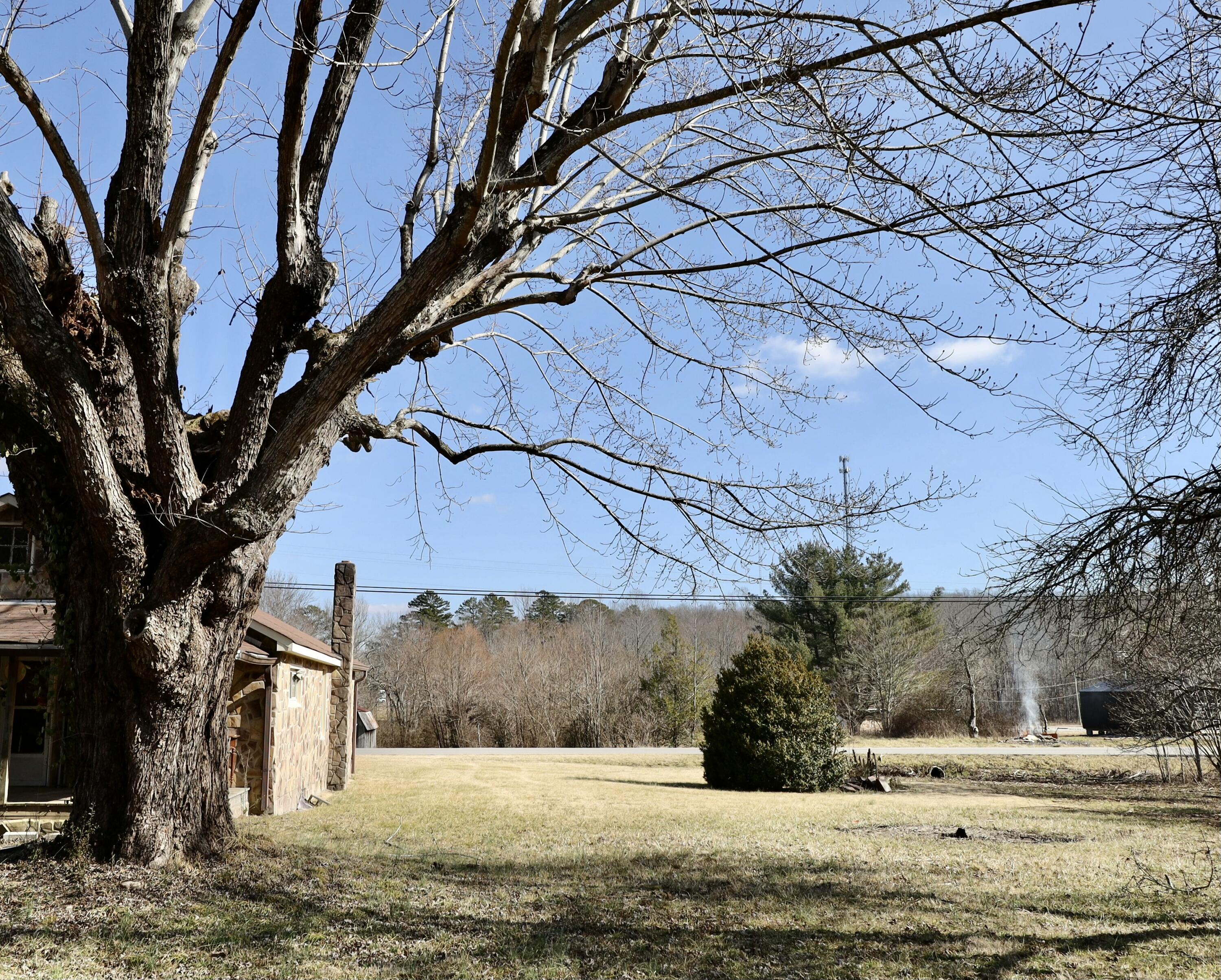 115 66th Avenue, Palmer, Tennessee image 43