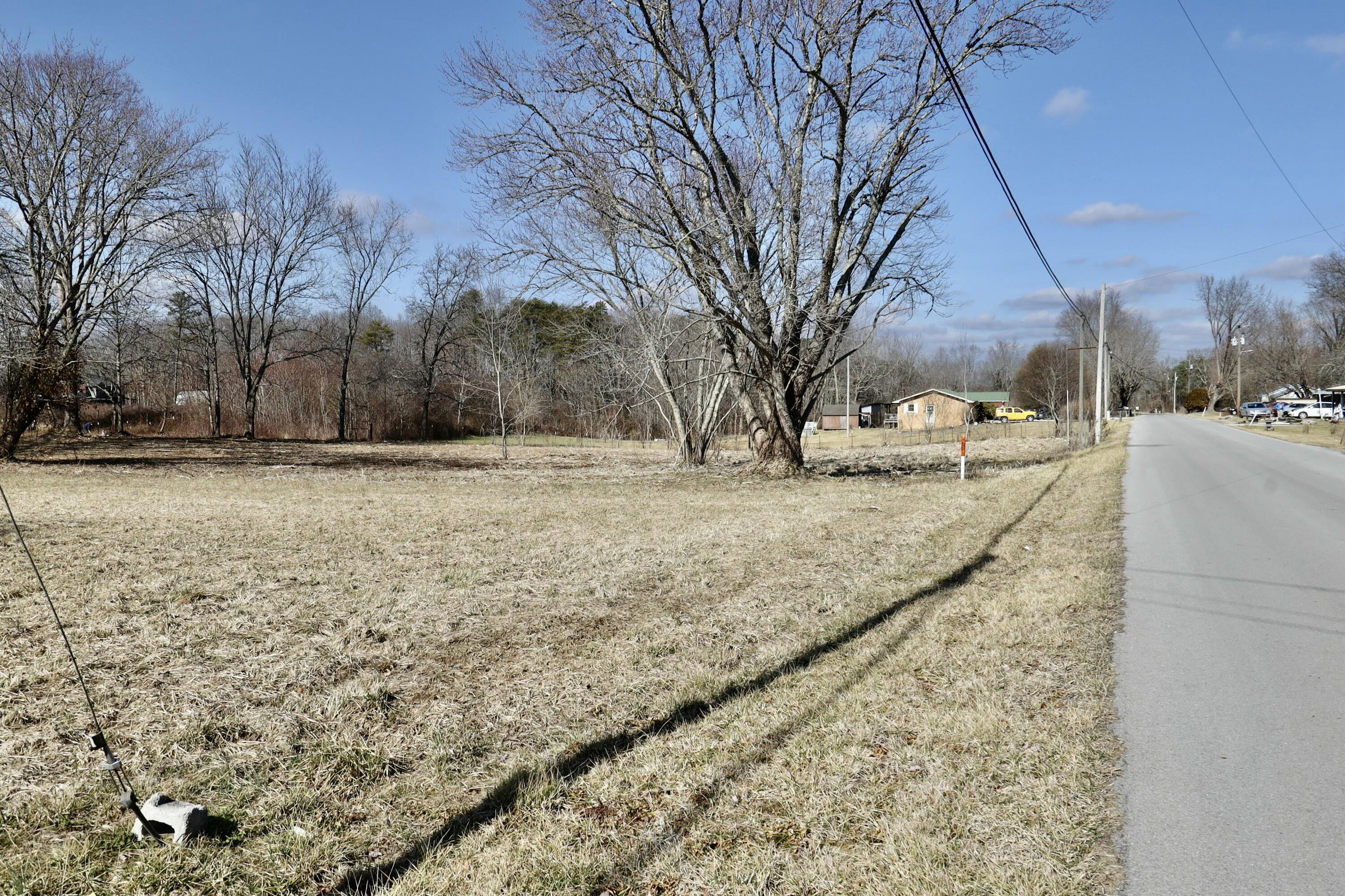 115 66th Avenue, Palmer, Tennessee image 50