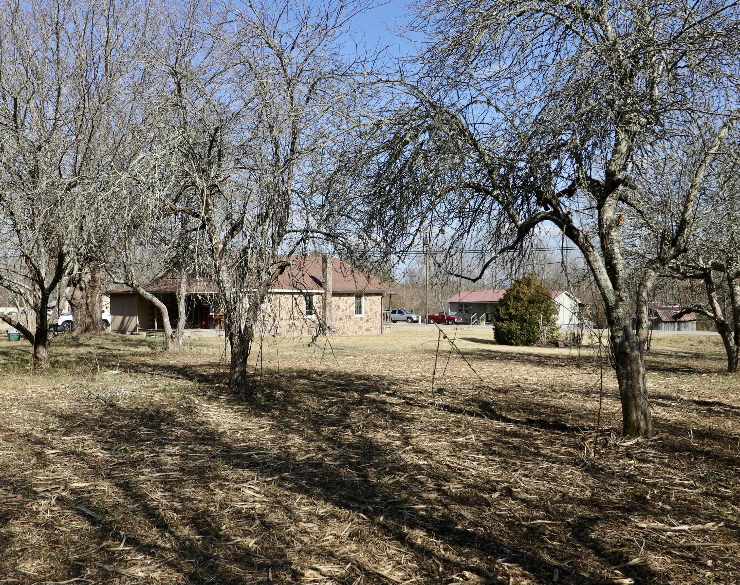 115 66th Avenue, Palmer, Tennessee image 39
