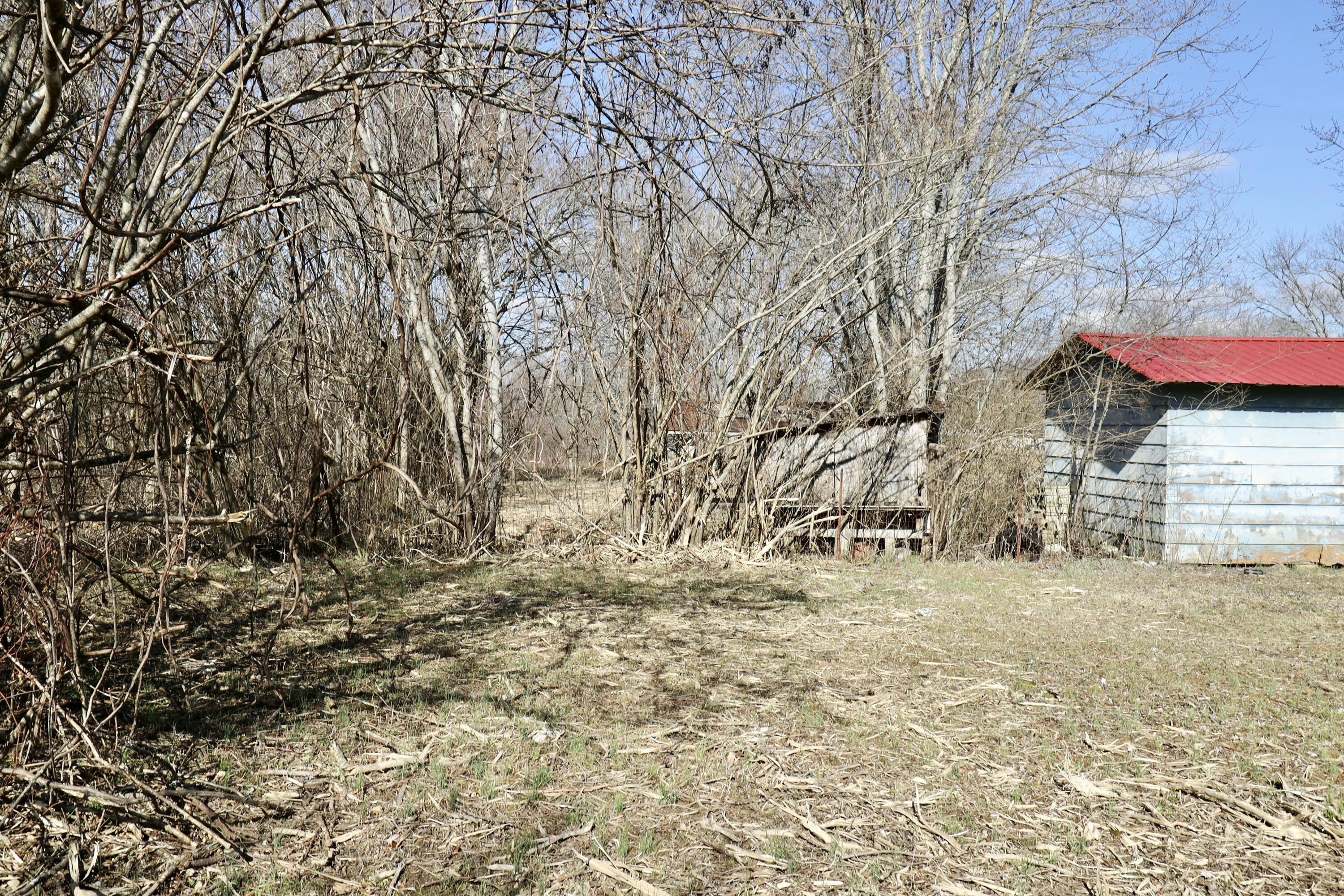 115 66th Avenue, Palmer, Tennessee image 45