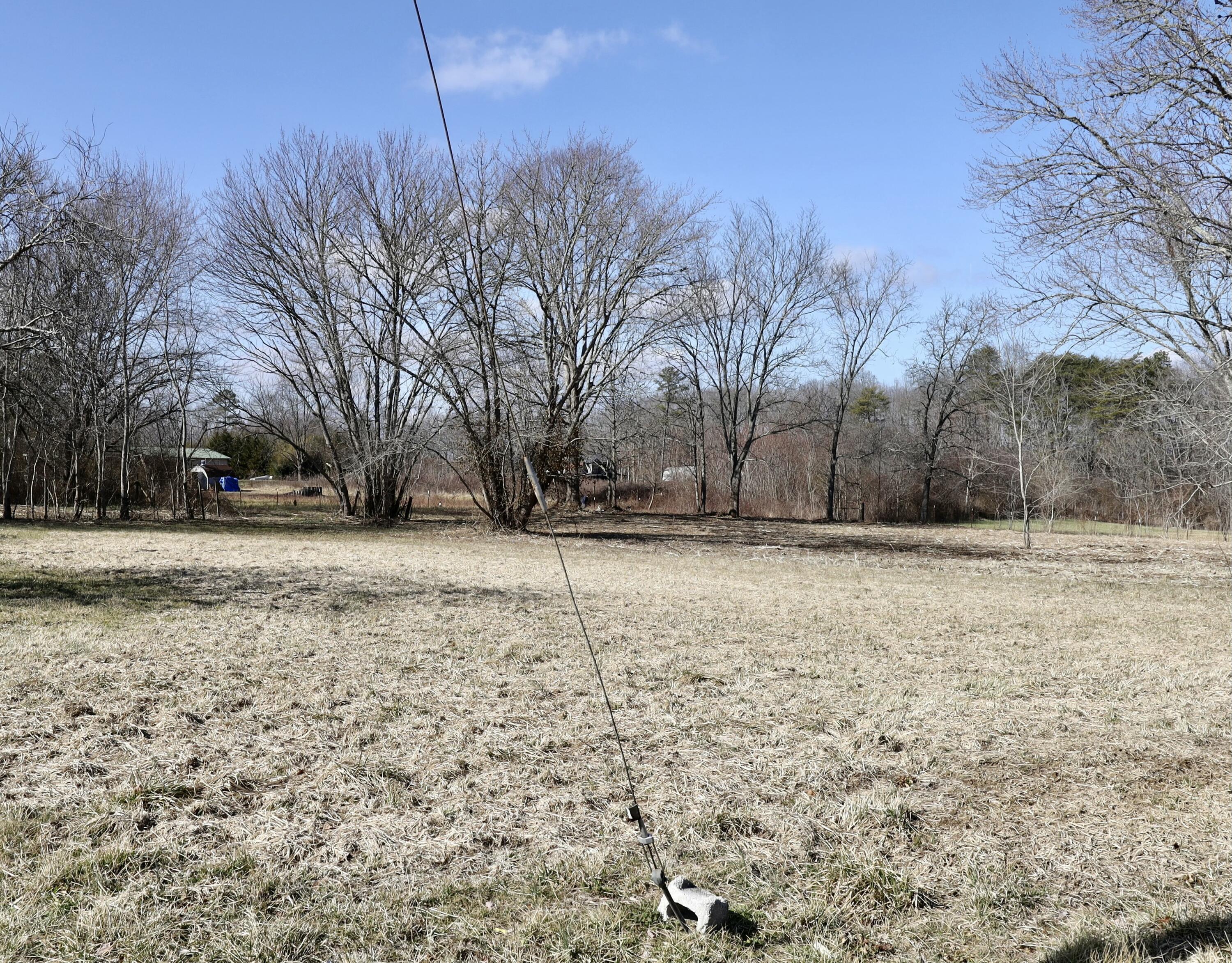 115 66th Avenue, Palmer, Tennessee image 2