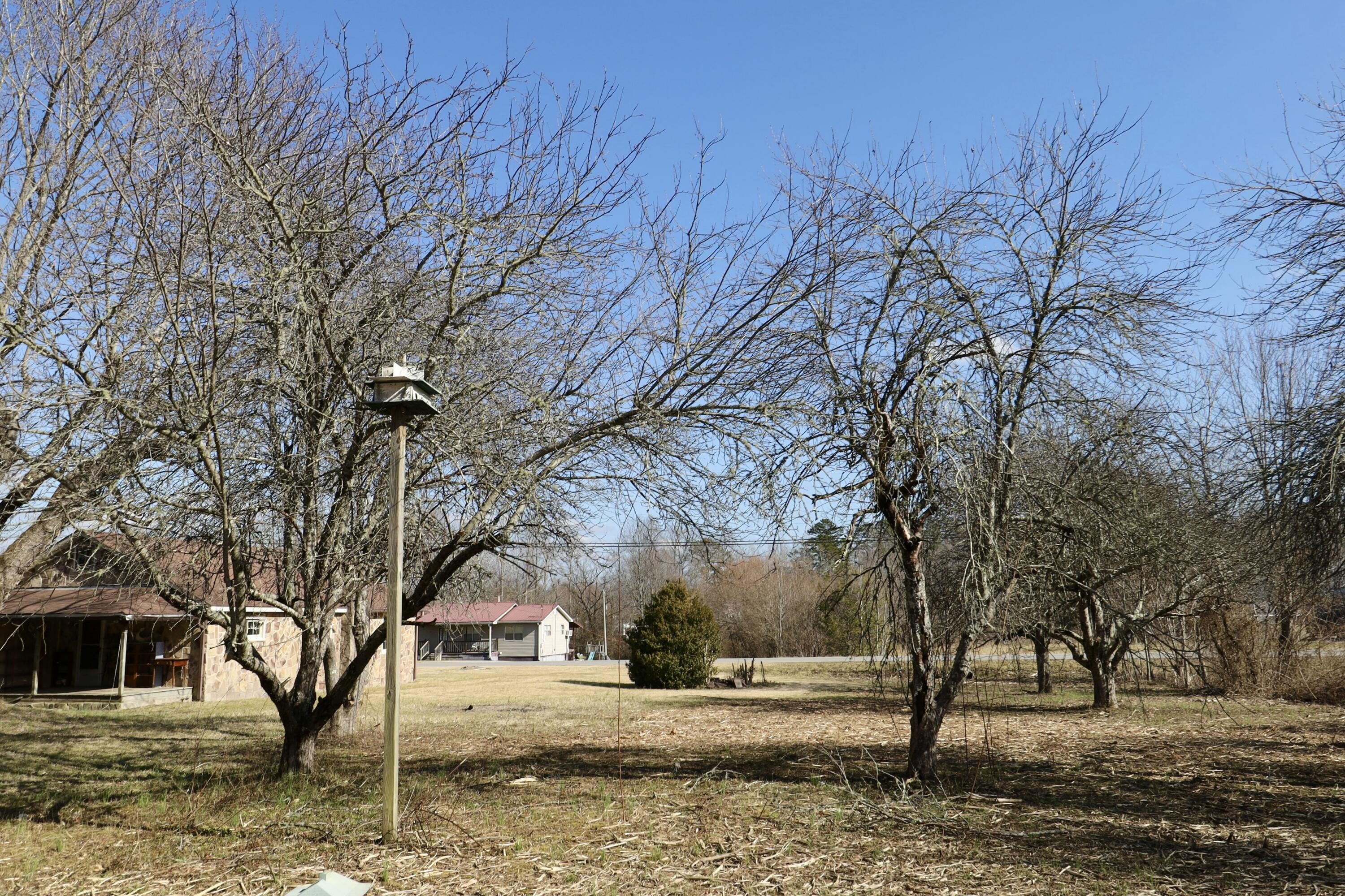 115 66th Avenue, Palmer, Tennessee image 38