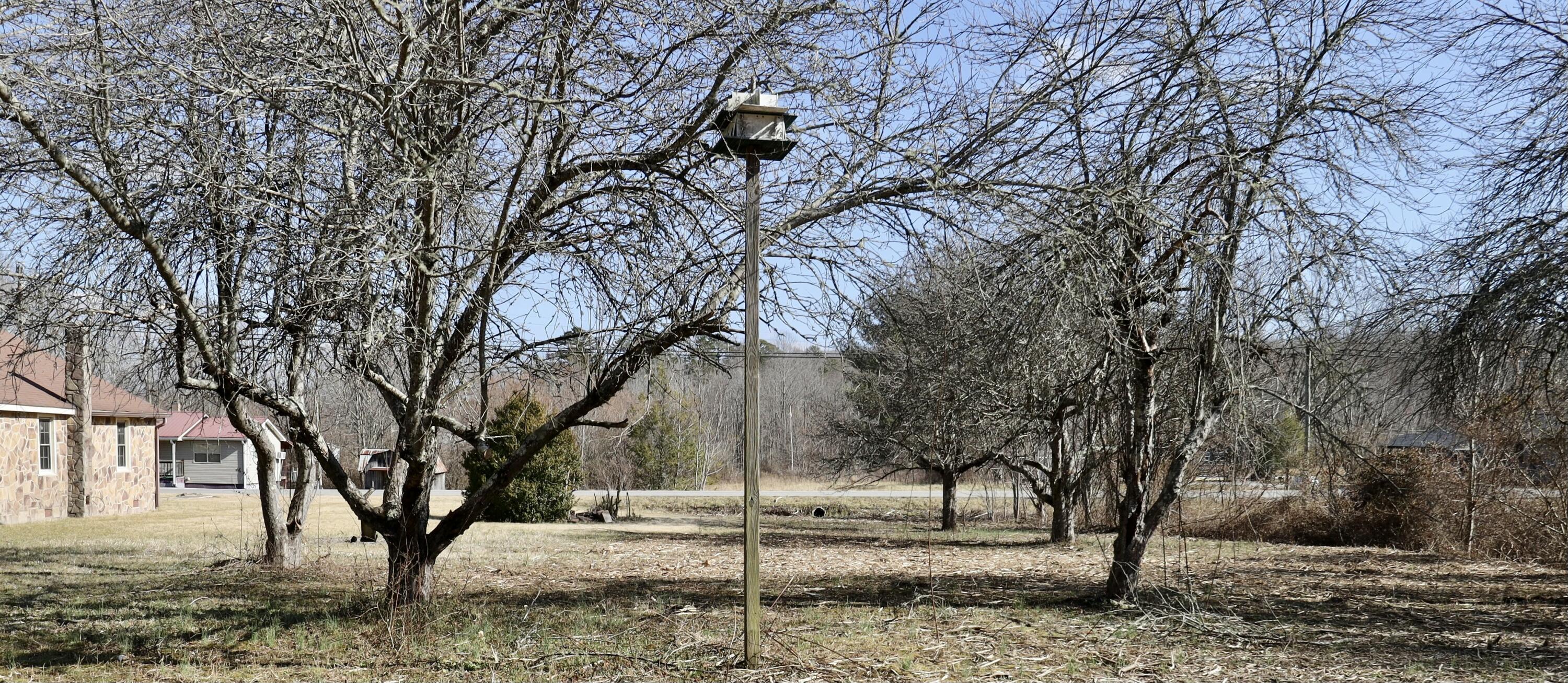 115 66th Avenue, Palmer, Tennessee image 42