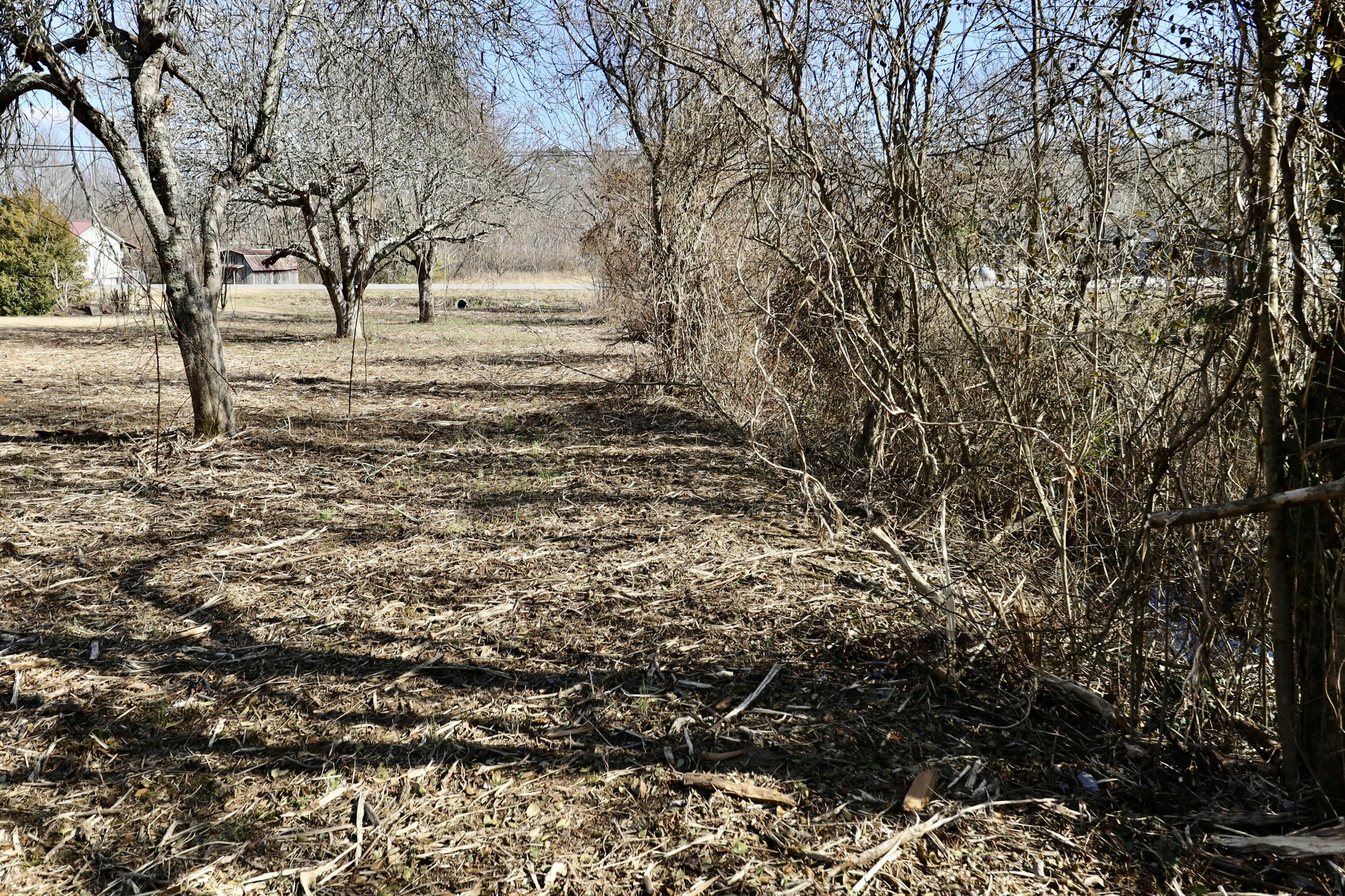 115 66th Avenue, Palmer, Tennessee image 41