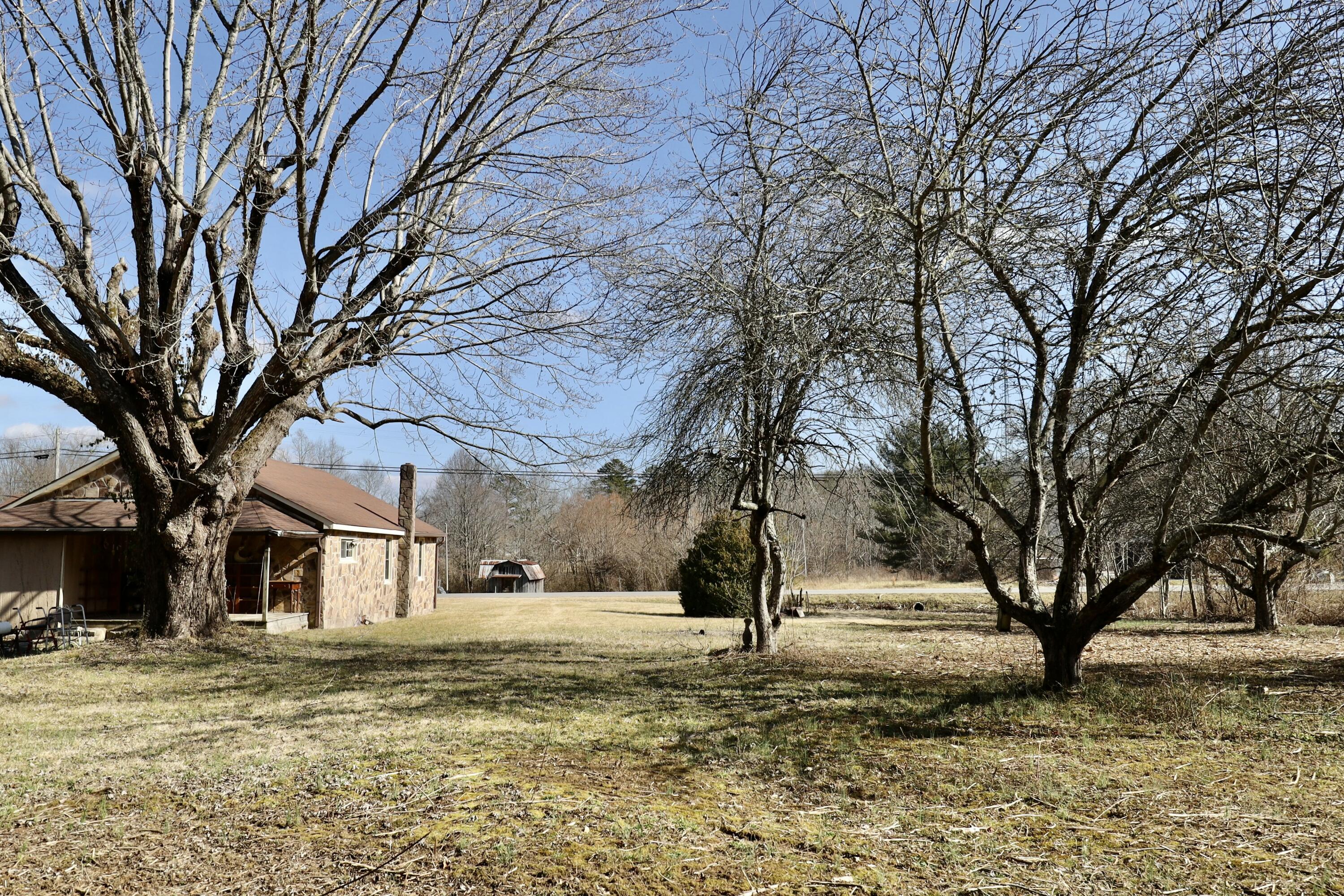 115 66th Avenue, Palmer, Tennessee image 44