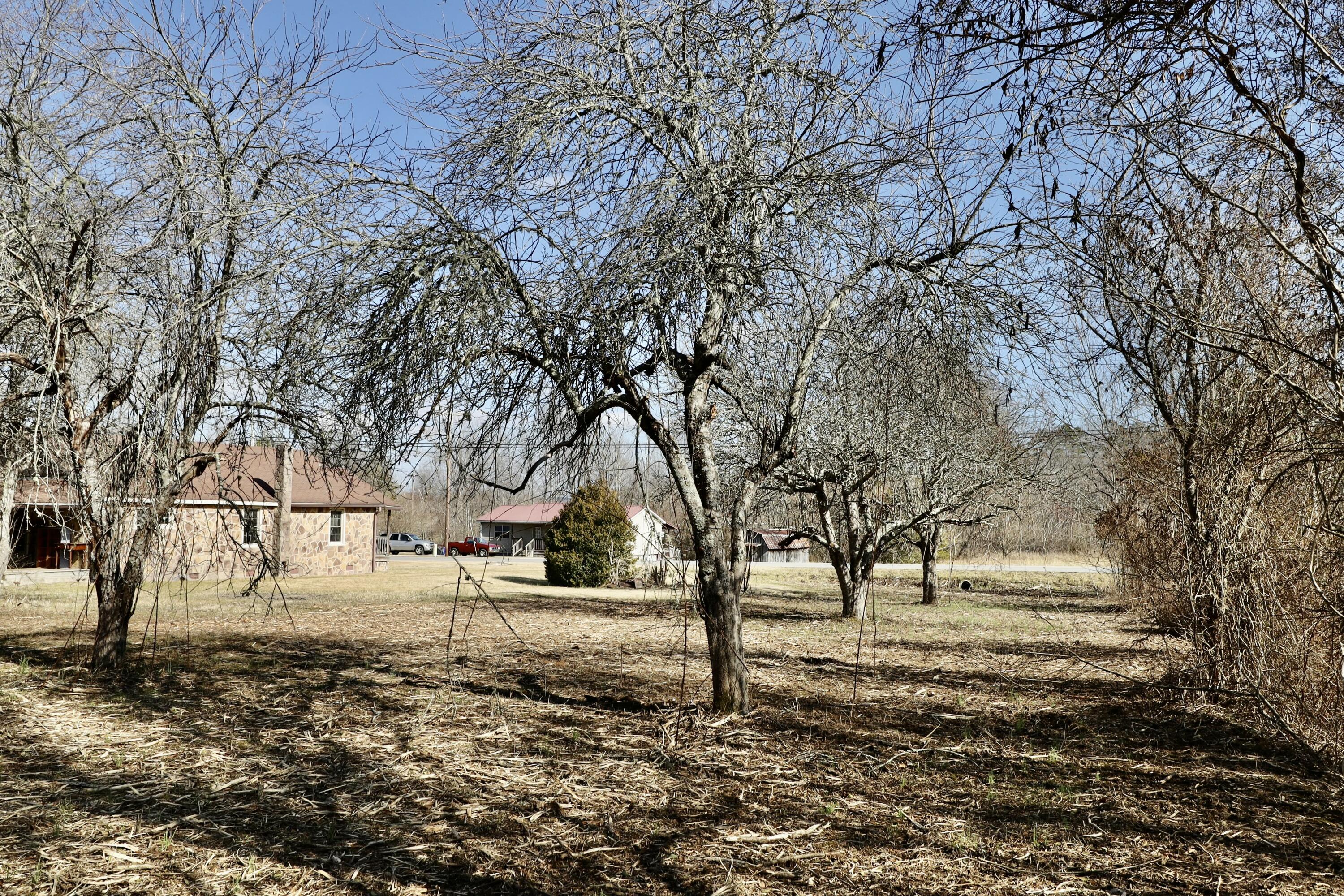 115 66th Avenue, Palmer, Tennessee image 40
