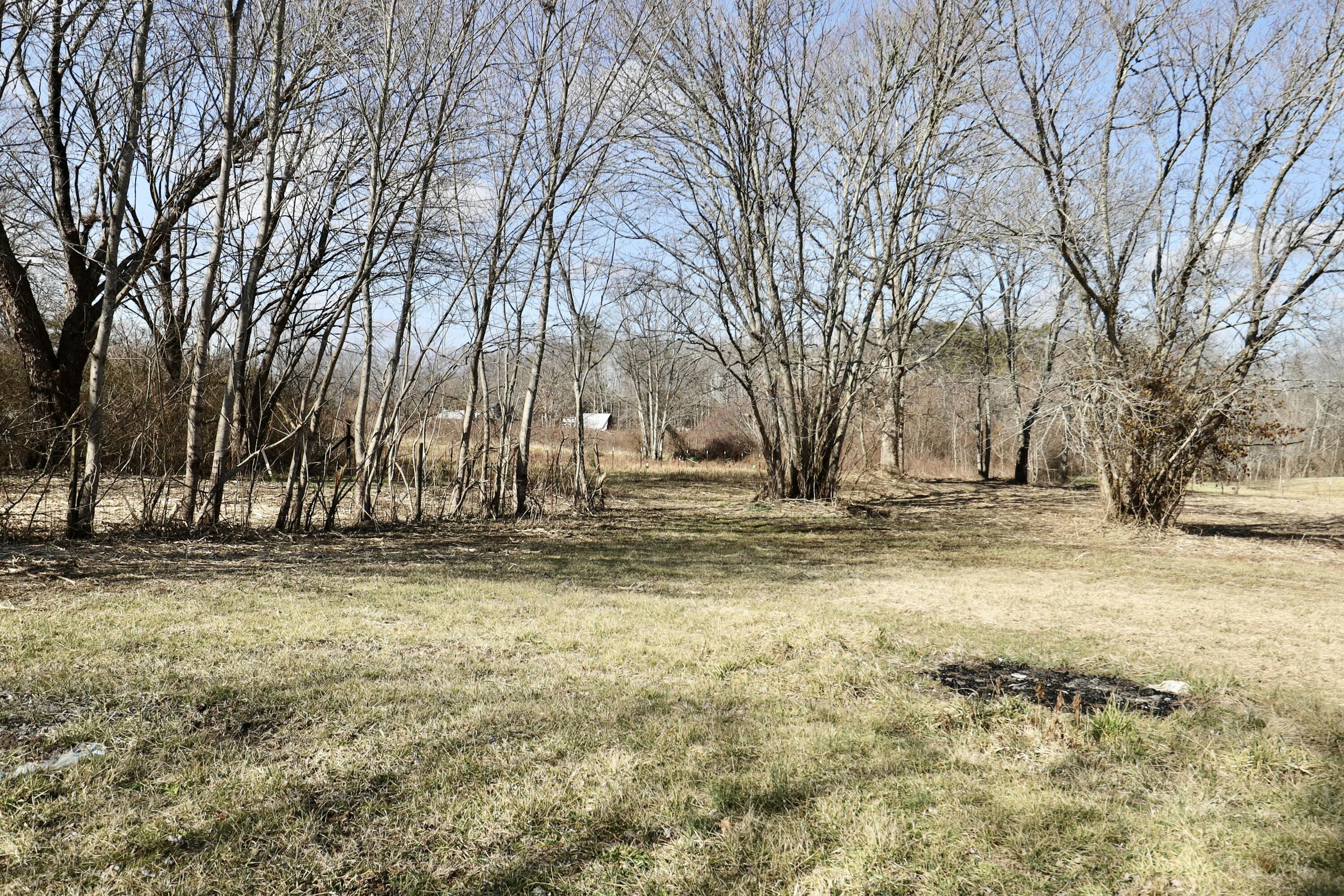 115 66th Avenue, Palmer, Tennessee image 46