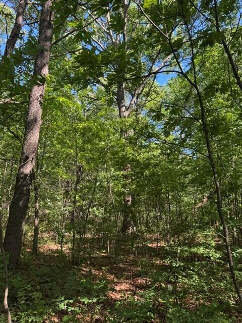5.85 Genesis Lane, Tracy City, Tennessee image 5
