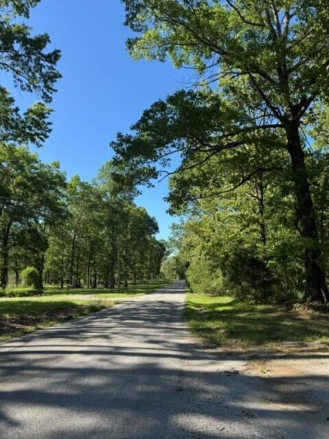 5.85 Genesis Lane, Tracy City, Tennessee image 9