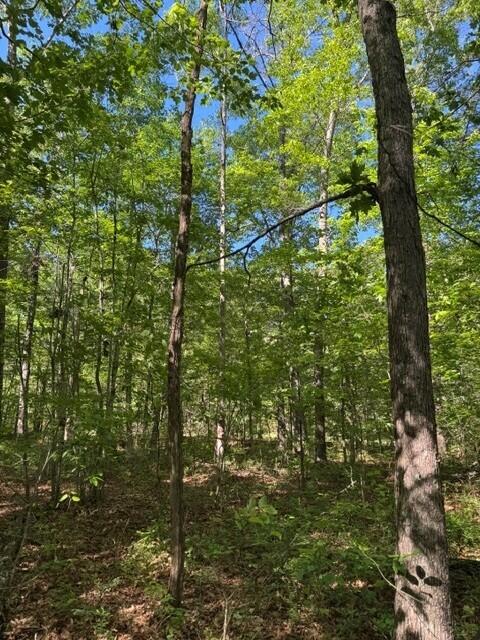 5.85 Genesis Lane, Tracy City, Tennessee image 1