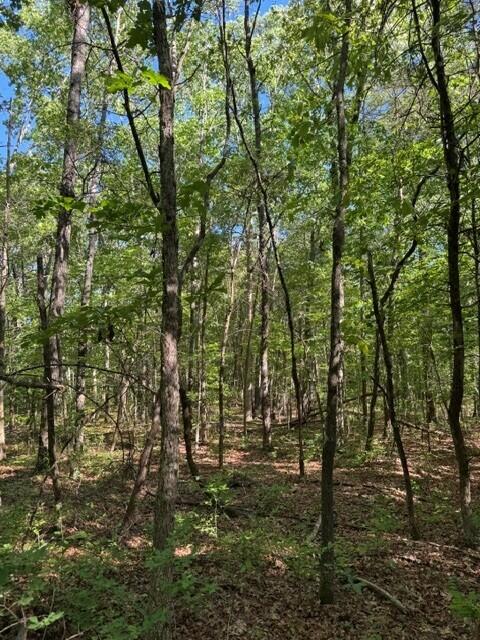 5.85 Genesis Lane, Tracy City, Tennessee image 6