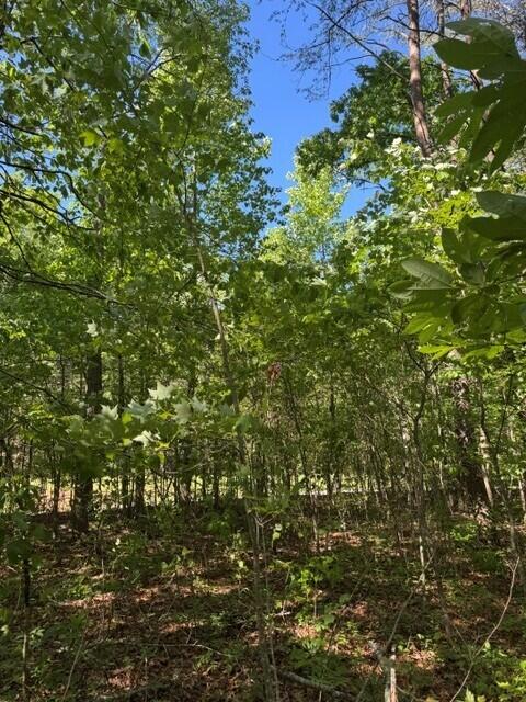 5.85 Genesis Lane, Tracy City, Tennessee image 3