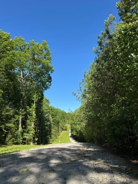 5.85 Genesis Lane, Tracy City, Tennessee image 8