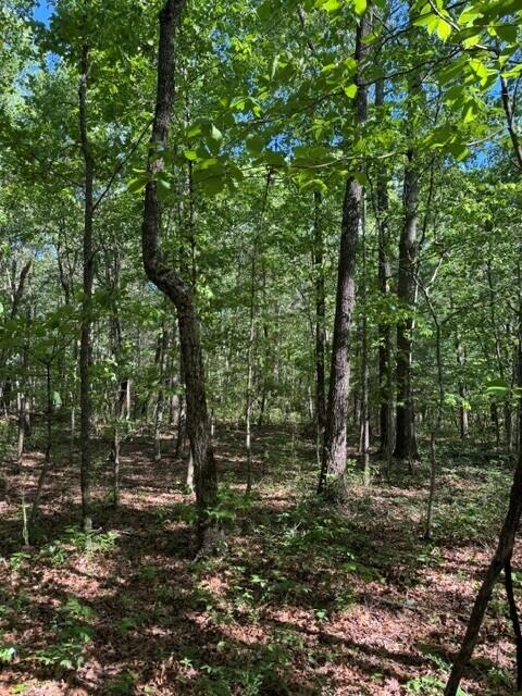 5.85 Genesis Lane, Tracy City, Tennessee image 4