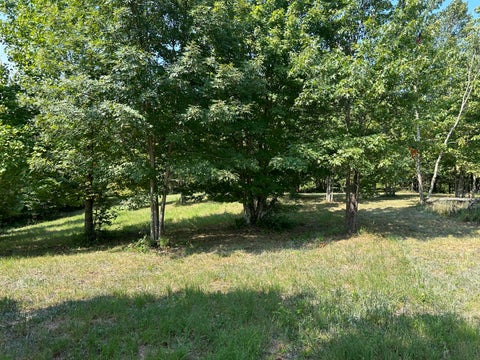Vacant Land For Sale - 245 Lookout View Drive<br/> Jasper, TN 37347