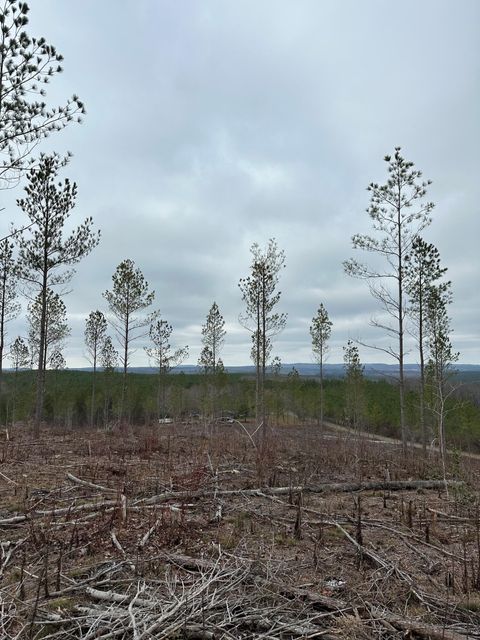 Vacant Land For Sale - TRACT 26 Thomas Springs Road<br/> Cumberland County, Crossville, TN 38572