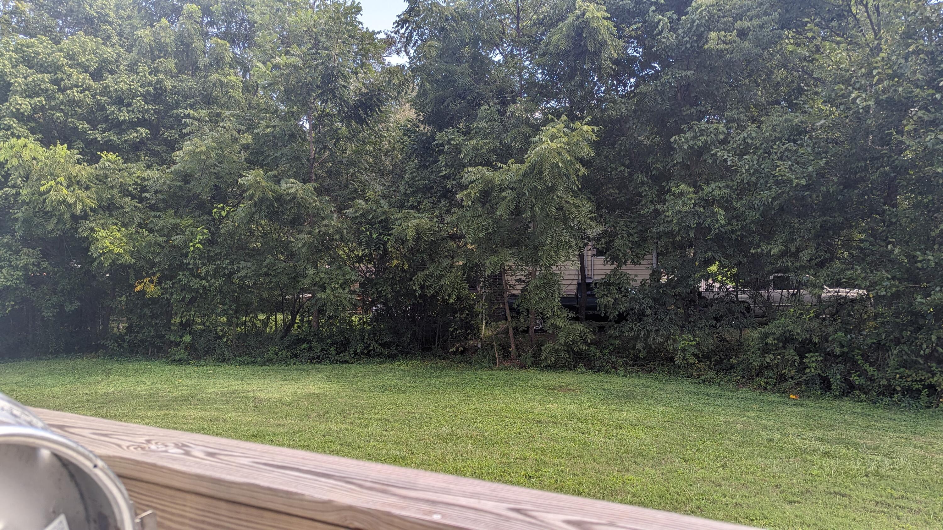 Rossville, Georgia 30741, United States, 8 Bedrooms Bedrooms, ,4 BathroomsBathrooms,Residential,Active,230324