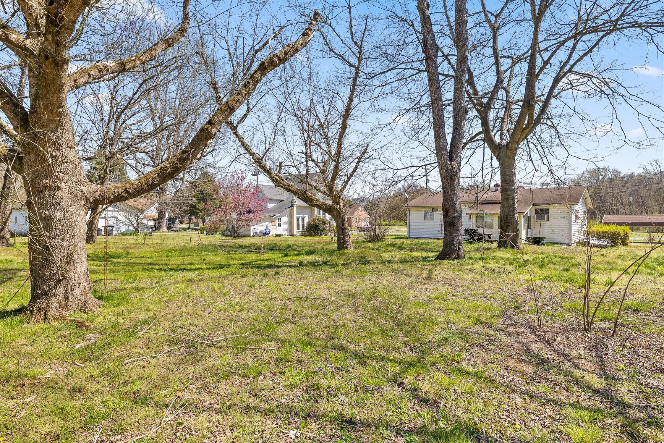 4314 Dayton Avenue, Graysville, Tennessee image 4