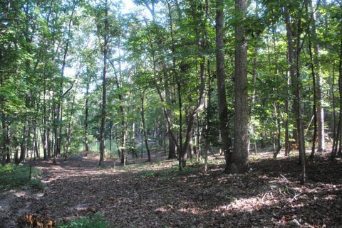 Photo of 249 N Ridge Drive, LaFayette, GA 30728 (MLS # 1542333)