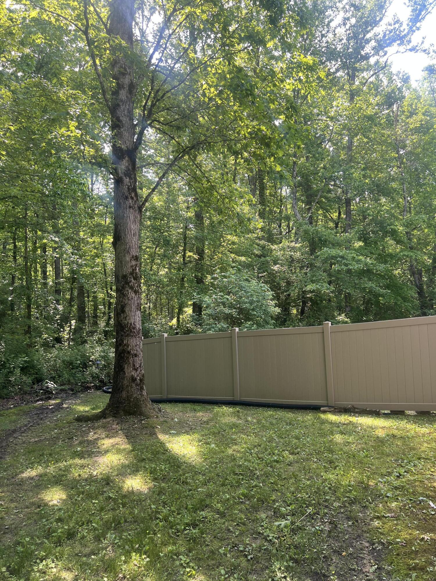 5209 Sawyer Road, Signal Mountain, Tennessee image 23