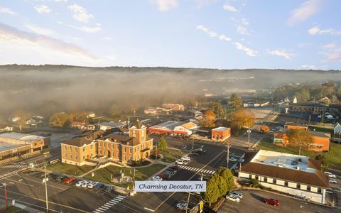 Tiny photo for 625 Meadowview Lane, Decatur, TN 37322 (MLS # 1523551)