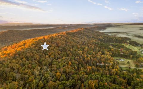 Tiny photo for 625 Meadowview Lane, Decatur, TN 37322 (MLS # 1523551)