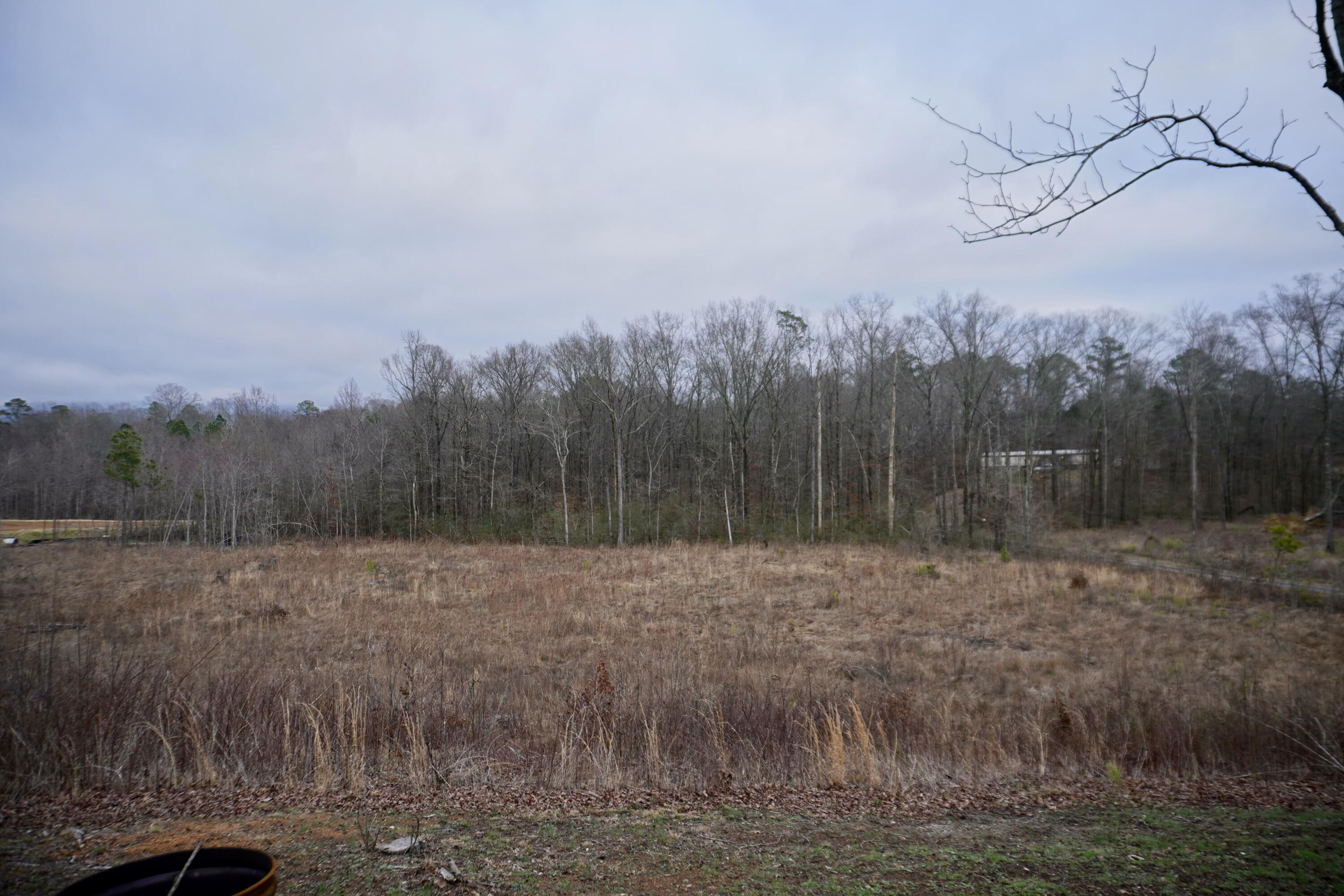 Wilson Road, Chatsworth, Georgia image 3