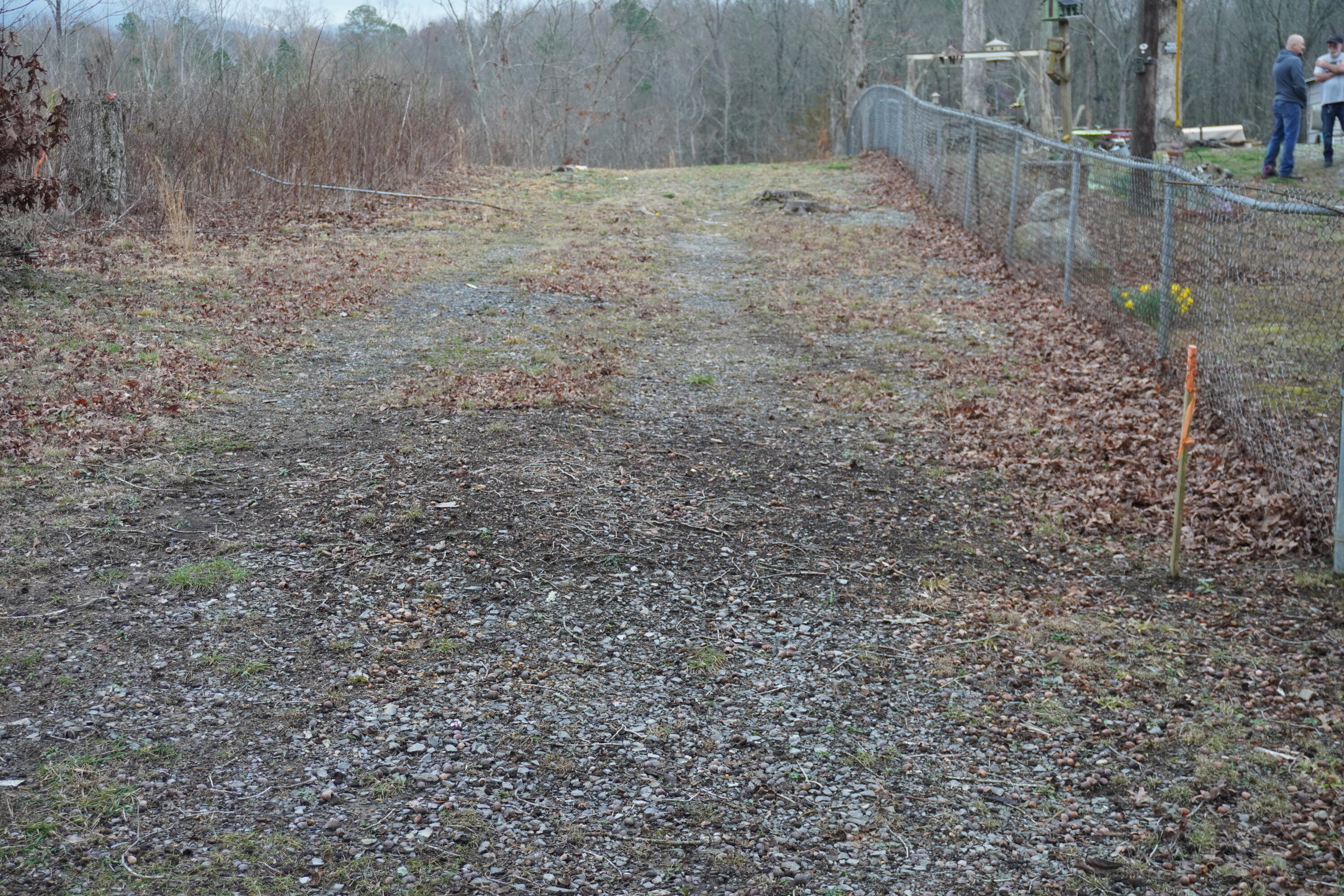 Wilson Road, Chatsworth, Georgia image 5