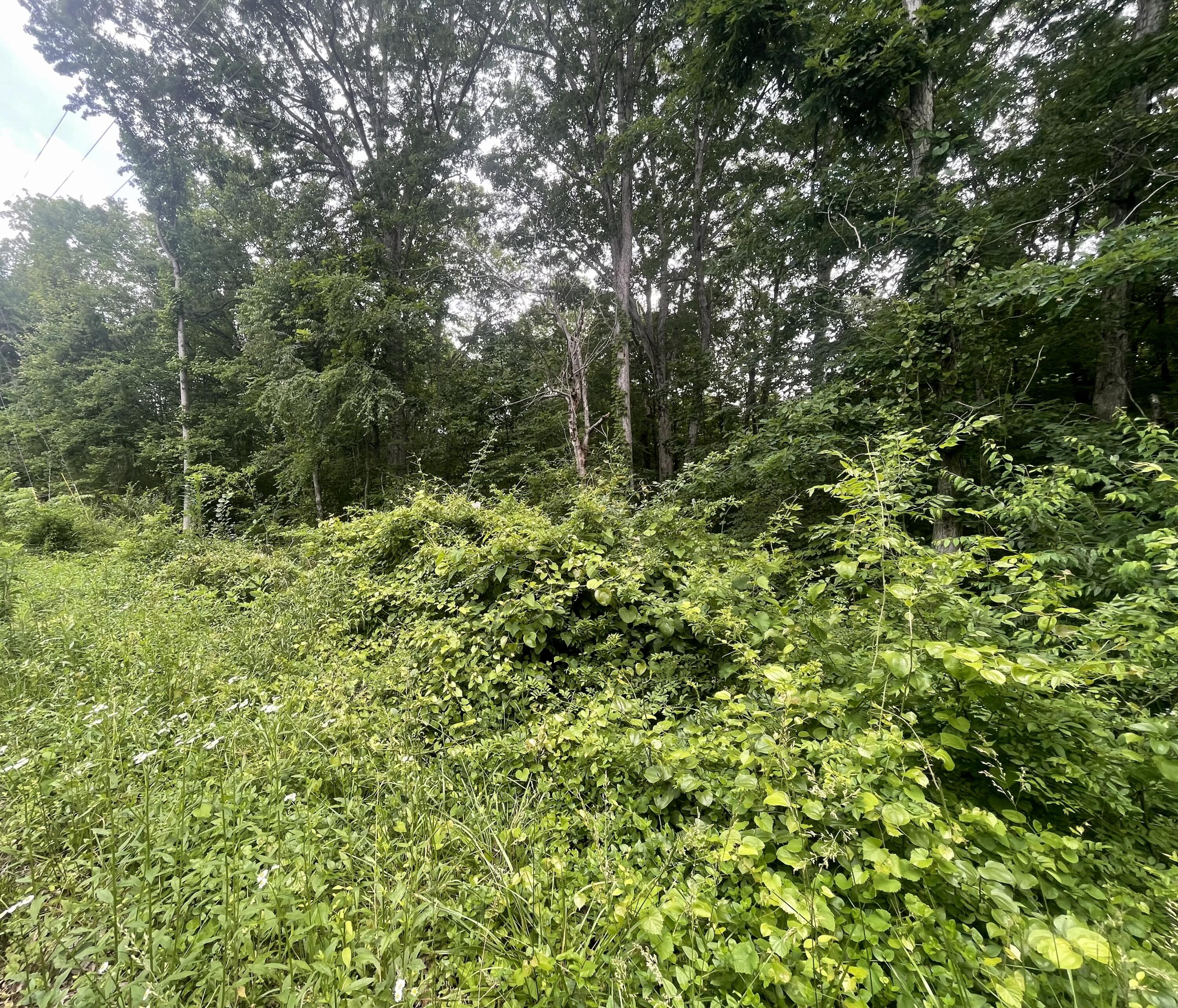 Bretton Dr, Lot 154, Soddy Daisy, Tennessee image 6