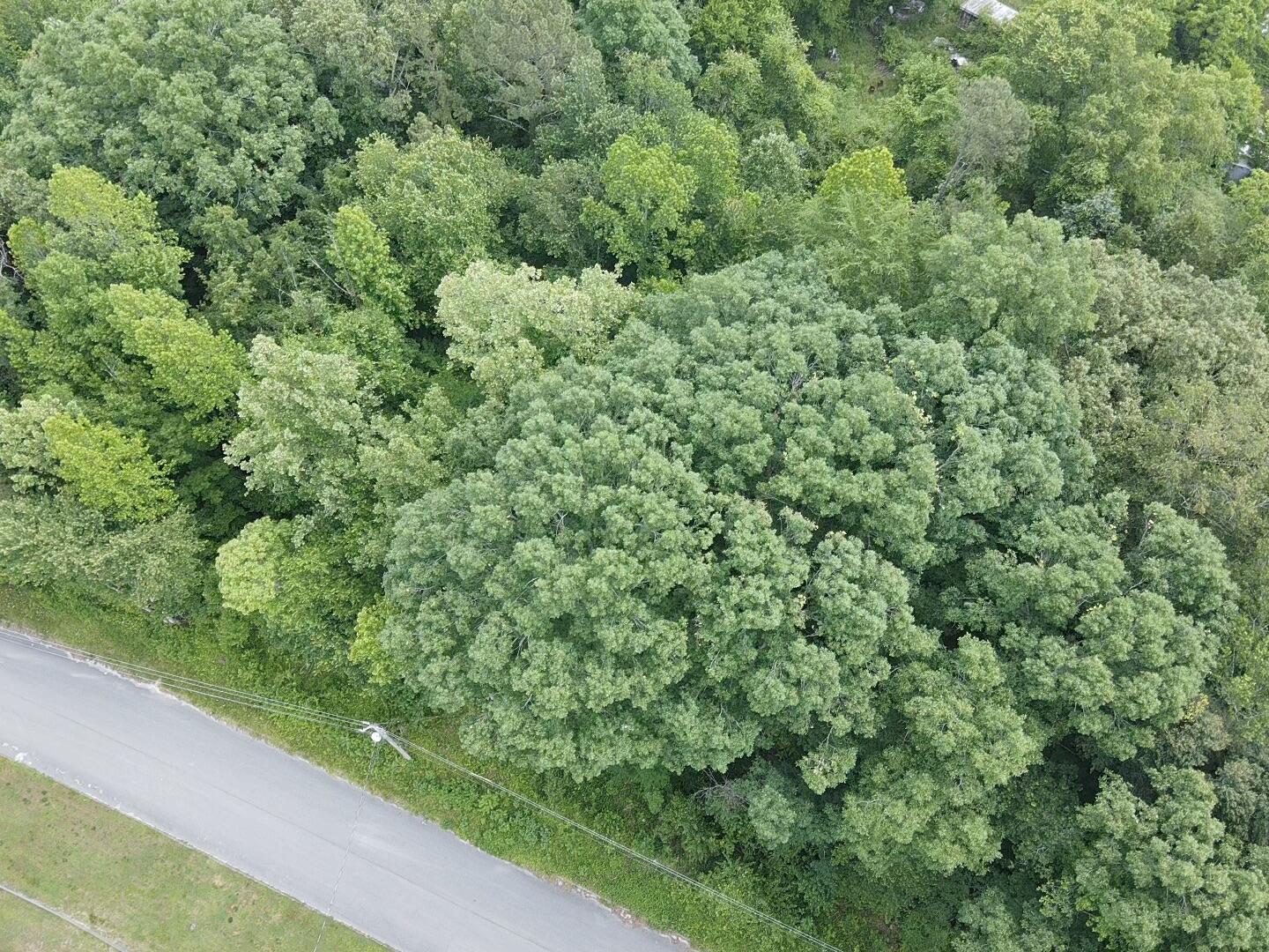 Bretton Dr, Lot 154, Soddy Daisy, Tennessee image 2